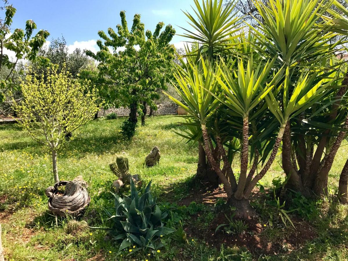 因帕拉Il Trullo Di Giulietta住宿加早餐旅馆 外观 照片